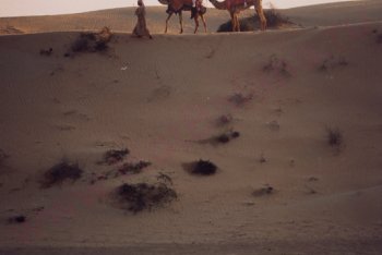 туризм Дубай (ОАЭ)