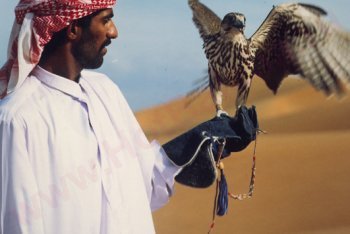 фотографии Дубай (ОАЭ)