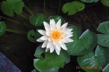 Вьетнам, путёвки во Вьетнам