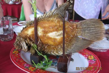 Вьетнам, отпуск во Вьетнаме