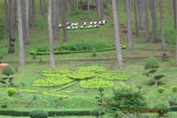 Вьетнам, поездка во Вьетнам