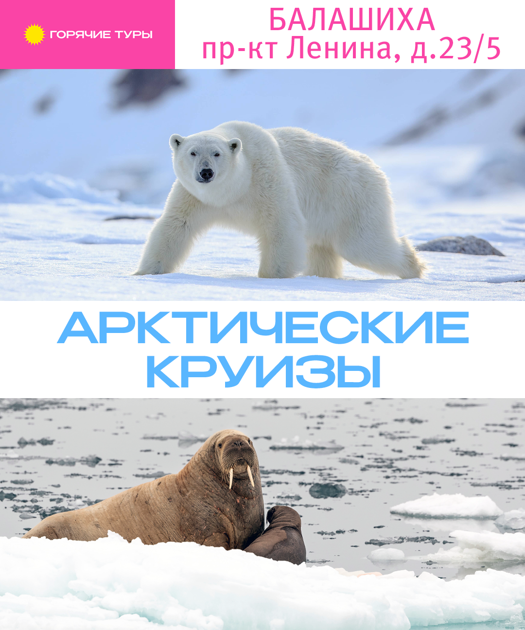 Арктические круизы, путёвки (Балашиха)